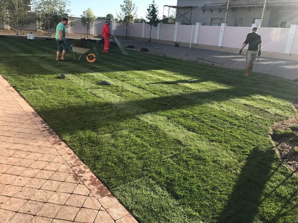 Укладка рулонного газона