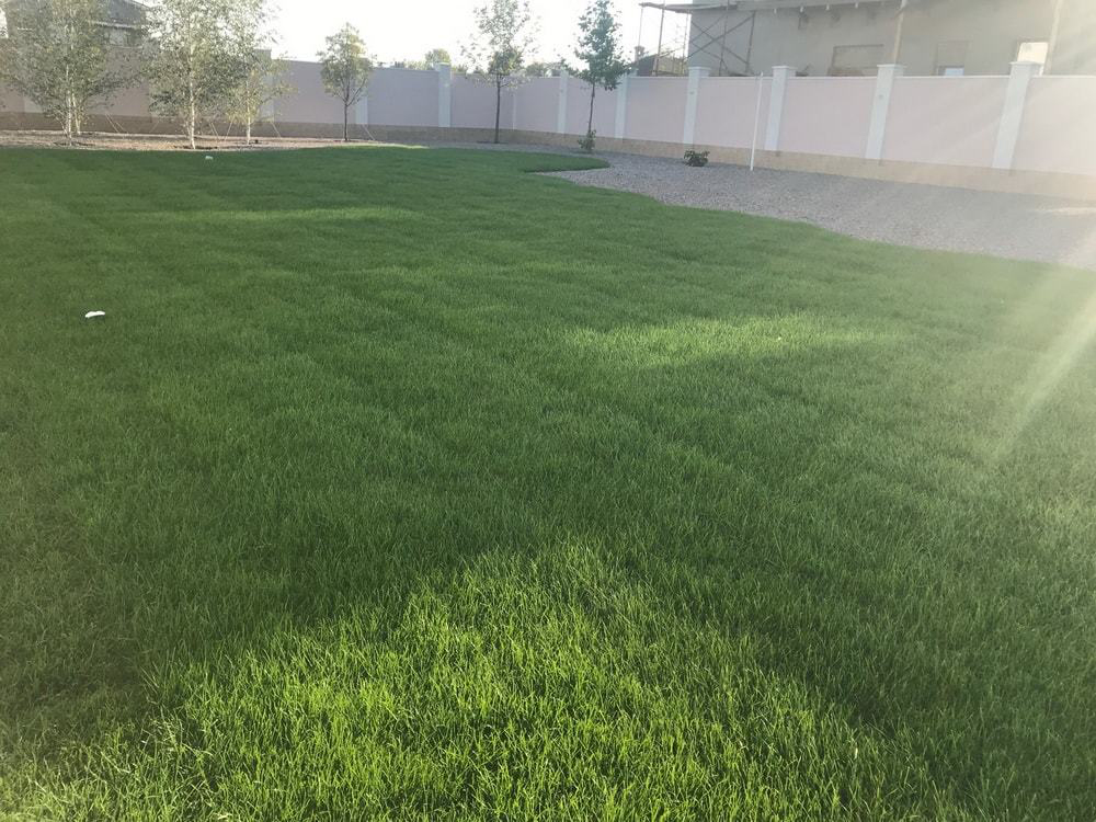Укладка рулонного газона